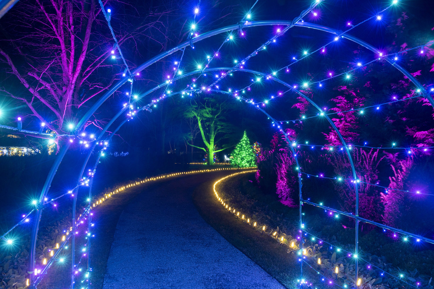 Holiday sparkle returns to the Newport mansions this weekend